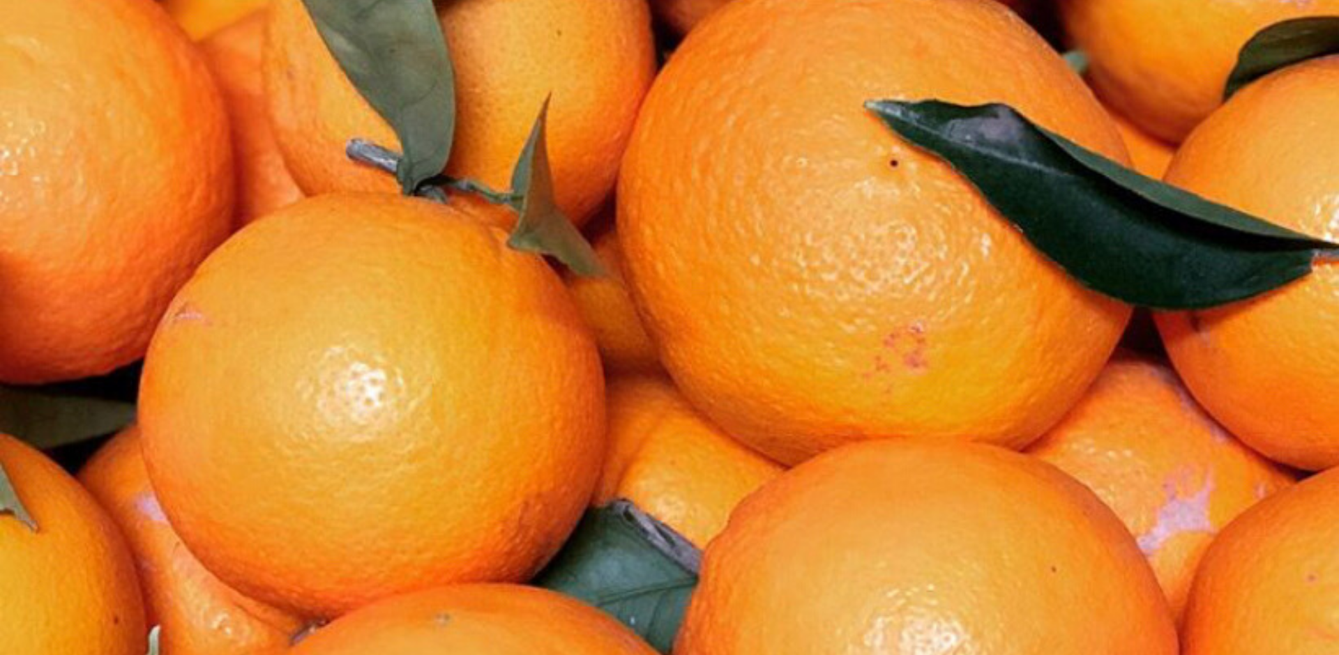 Fruits