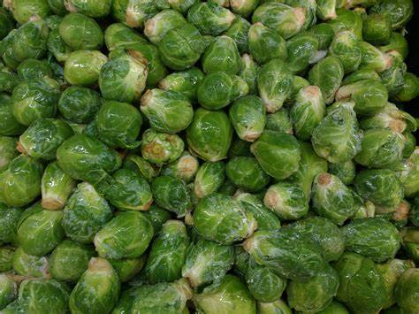BRUSSEL SPROUTS