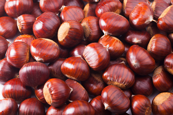 Large Chestnuts