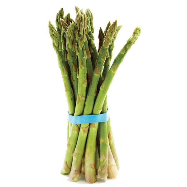 ASPARAGUS BUNCH