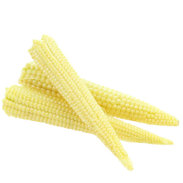 BABY CORN