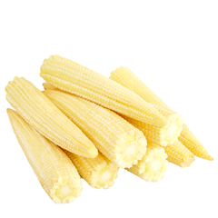 BABY CORN