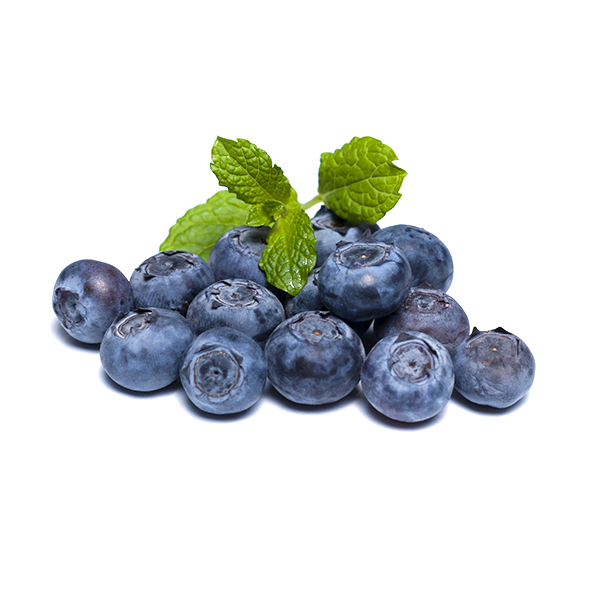 BLUEBERRIES