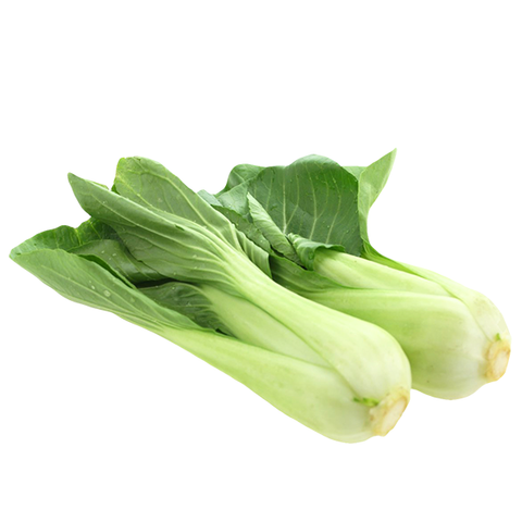 BOK CHOI