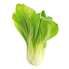 BOK CHOI