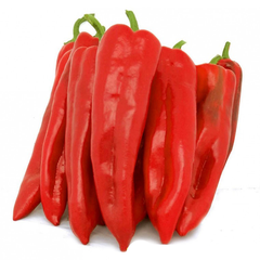 BULL HORN CAPSICUM PACKS