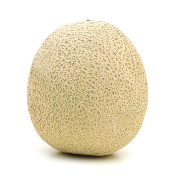 CANTALOUPE WHOLE