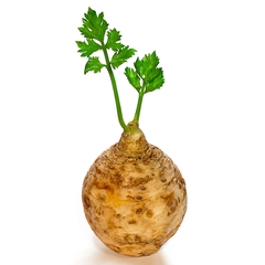 CELERIAC