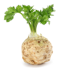 CELERIAC