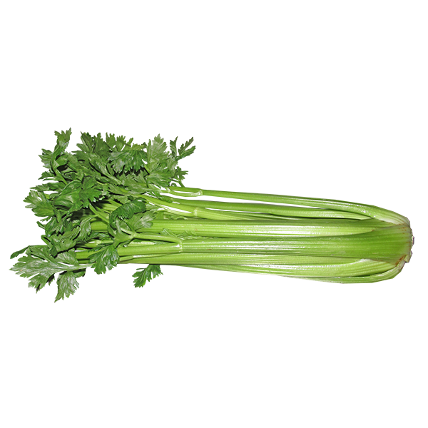 CELERY WHOLE