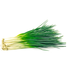 CHIVES