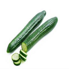 CONTINENTAL CUCUMBER