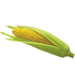 CORN COB (PER UNIT)