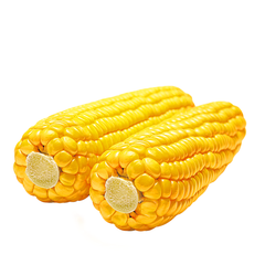 CORN COB (PER UNIT)