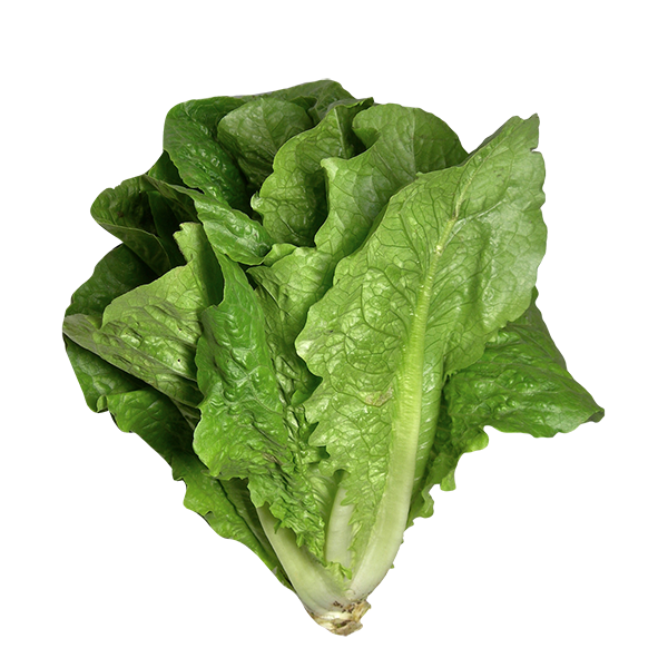 COS LEAVES (250G)