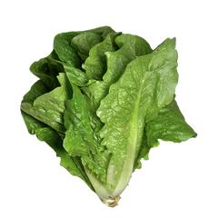COS LEAVES (250G)
