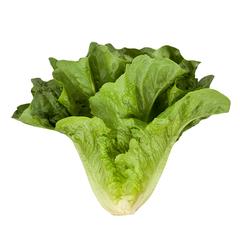 COS LEAVES (250G)