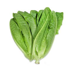 COS LEAVES (250G)