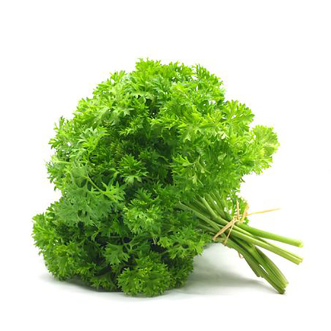CURLY PARSLEY