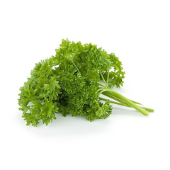 CURLY PARSLEY