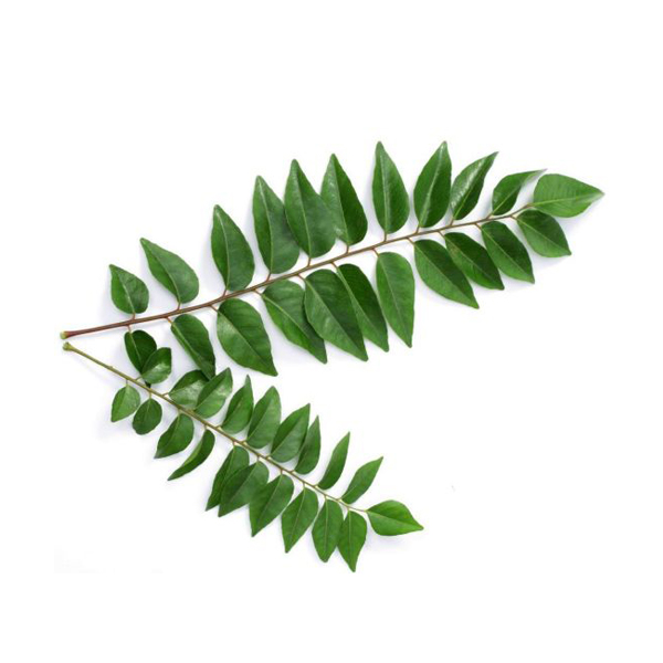 CURRY LEAVES (PER BAG)