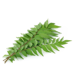 CURRY LEAVES (PER BAG)