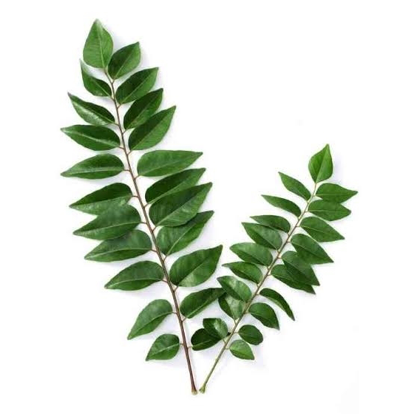 Fresh Curry Leaves 20G Punnet