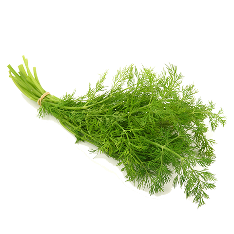 DILL