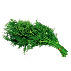 DILL