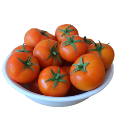 DONCASTER TOMATOES