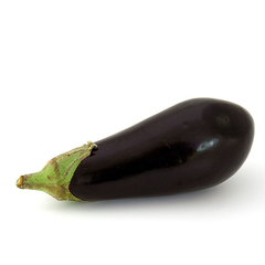 EGGPLANT