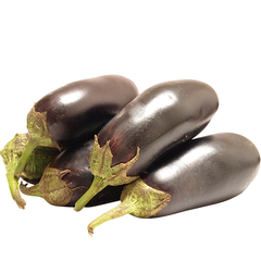 EGGPLANT