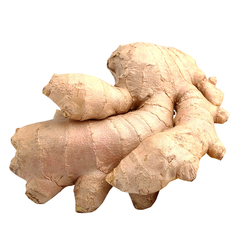 GINGER (100G)