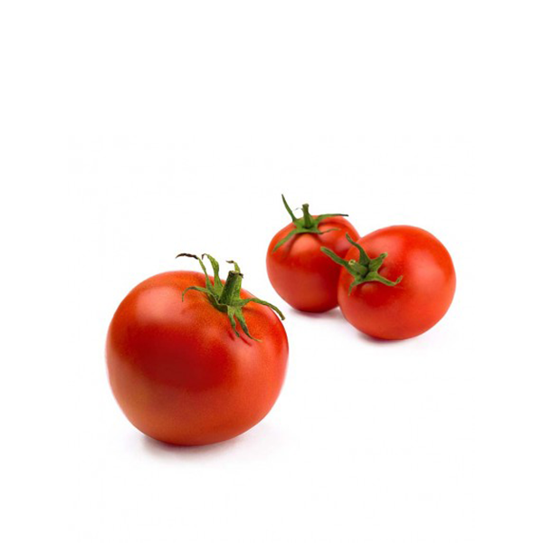 GOURMET TOMATOES