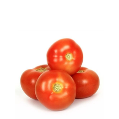 GOURMET TOMATOES