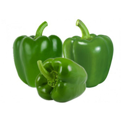 GREEN CAPSICUMS (PER UNIT)