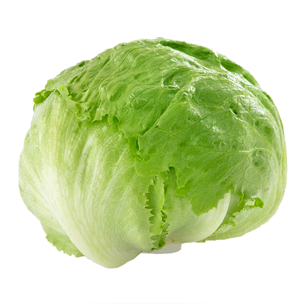 ICEBERG