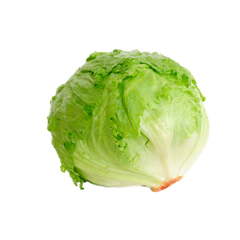 ICEBERG