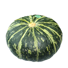 JAPALA PUMPKIN