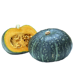 JAPALA PUMPKIN