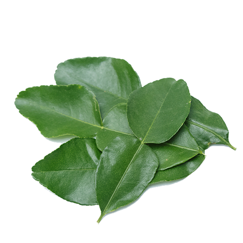 KAFFIR LIME LEAVES