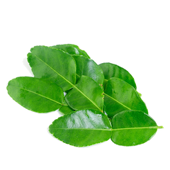 KAFFIR LIME LEAVES