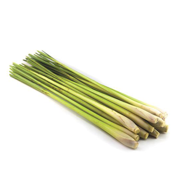 LEMONGRASS STALK