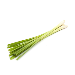 LEMONGRASS STALK