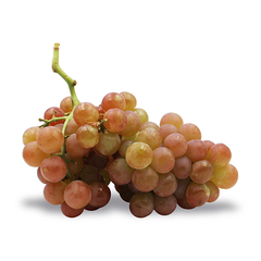 MUSCATEL GRAPES (500G)