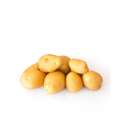 NICOLA POTATOES