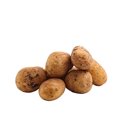 NICOLA POTATOES