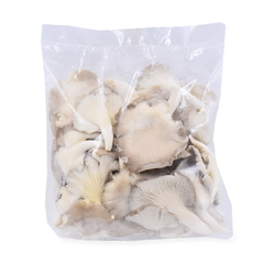OYSTER MUSHROOM PACK