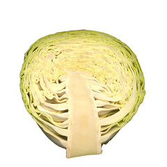 PLAIN CABBAGE HALF