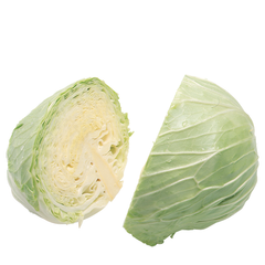 PLAIN CABBAGE HALF